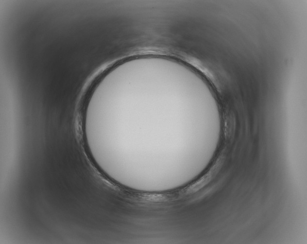 X0000112391454200908131334