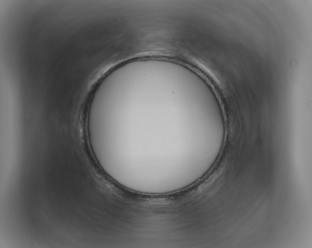 X0000112391455200908131334