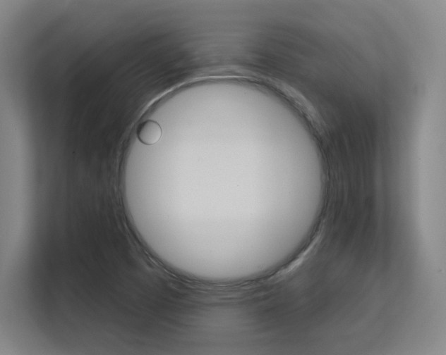 X0000112391457200908131334