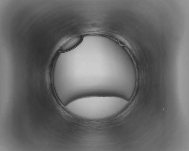 X0000112391458200908131334
