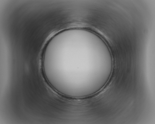 X0000112391459200908131334