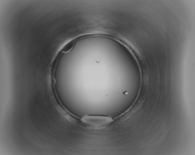 X0000112391460200908131334