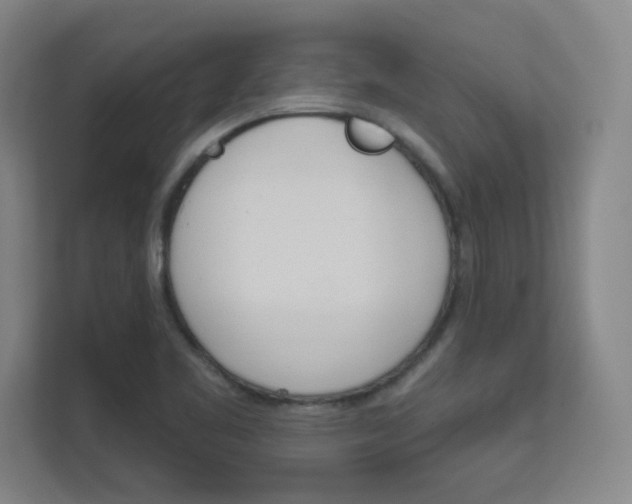 X0000112391461200908131334