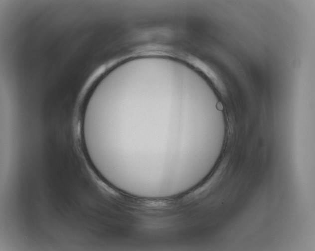 X0000112391462200908131334