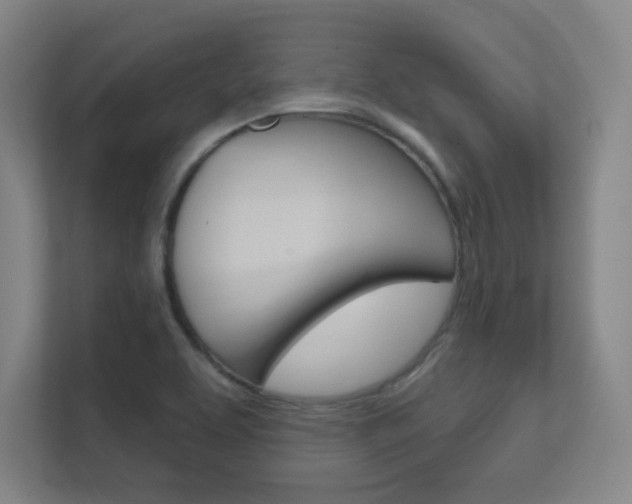 X0000112391463200908131334