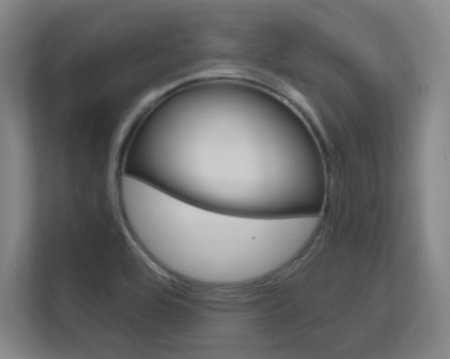 X0000112391464200908131334