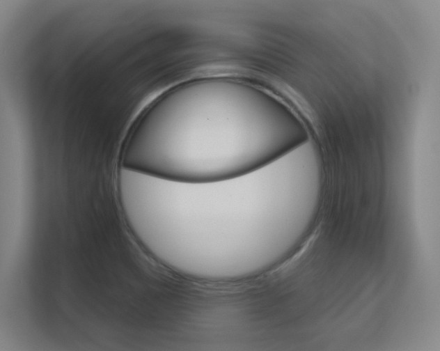 X0000112391465200908131334
