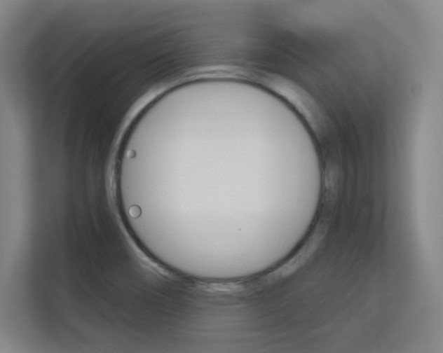X0000112391466200908131334