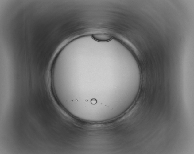 X0000112391467200908131334