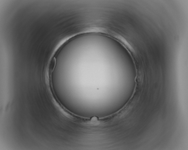 X0000112391468200908131334
