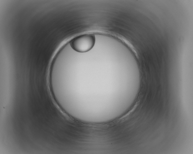 X0000112391469200908131334