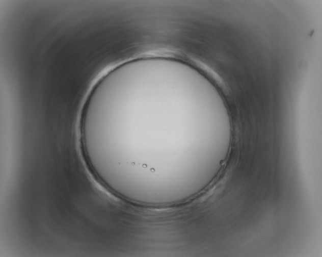 X0000112391471200908131334