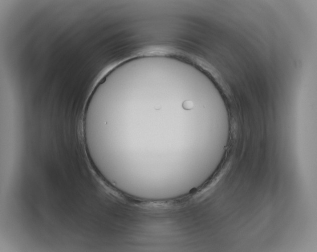 X0000112391473200908131334