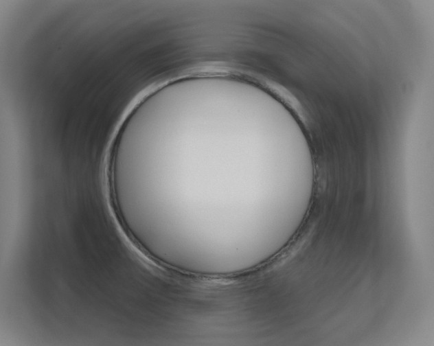 X0000112391475200908131334
