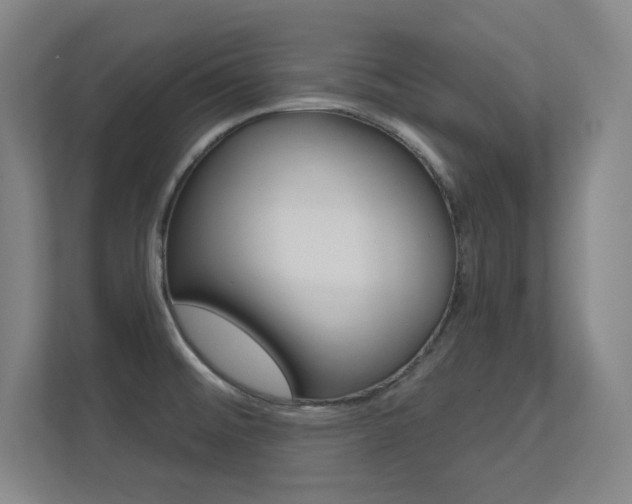 X0000112391476200908131334