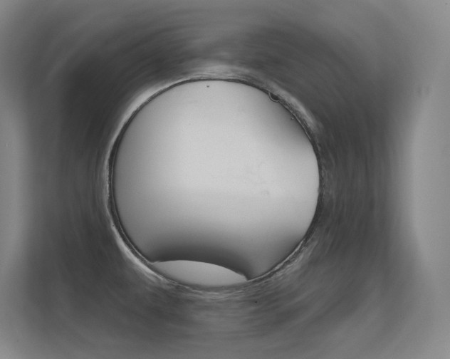 X0000112391479200908131334