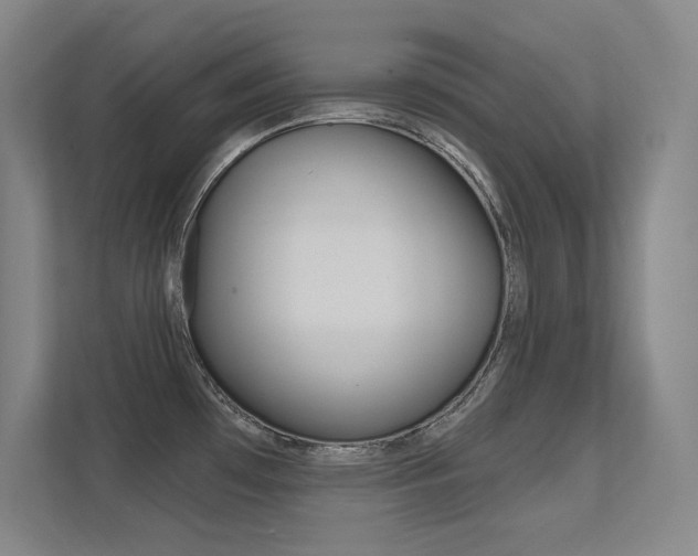 X0000112391481200908131334