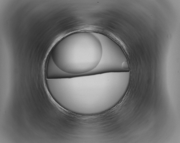 X0000112391483200908131334