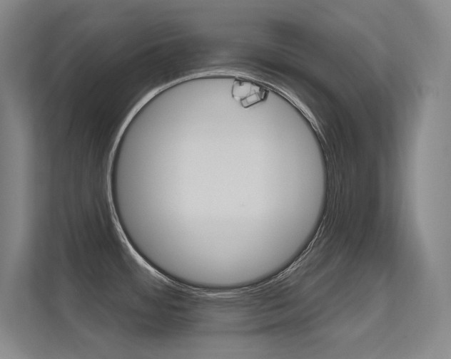 X0000112391484200908131334