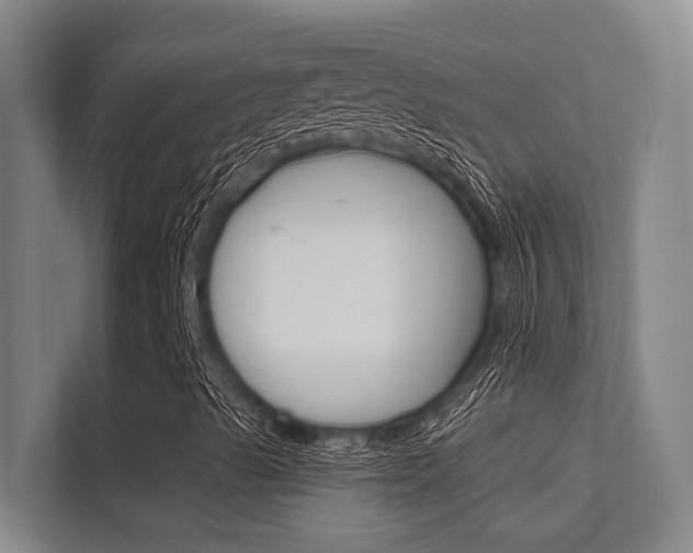 X0000112391489200908131333