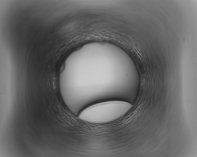 X0000112391490200908131333