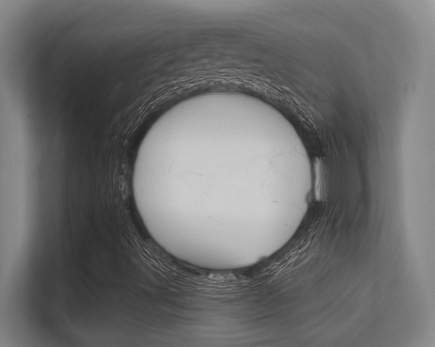 X0000112391491200908131333