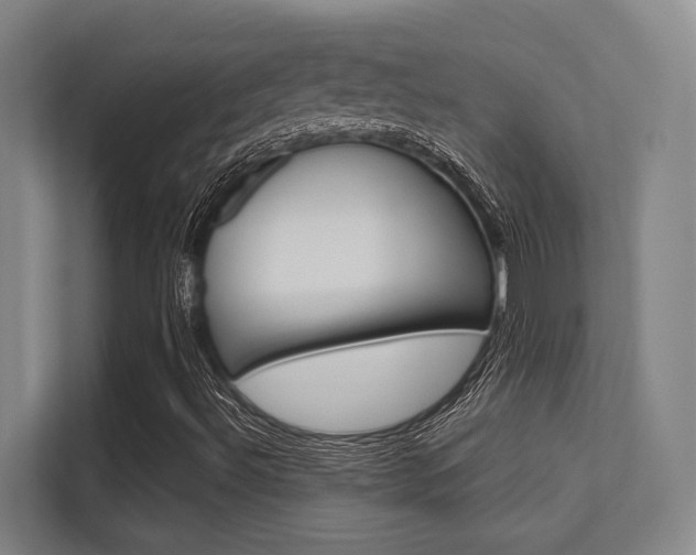 X0000112391492200908131333