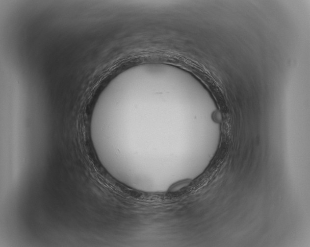 X0000112391493200908131333