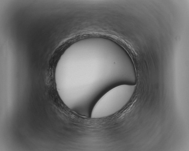 X0000112391494200908131333