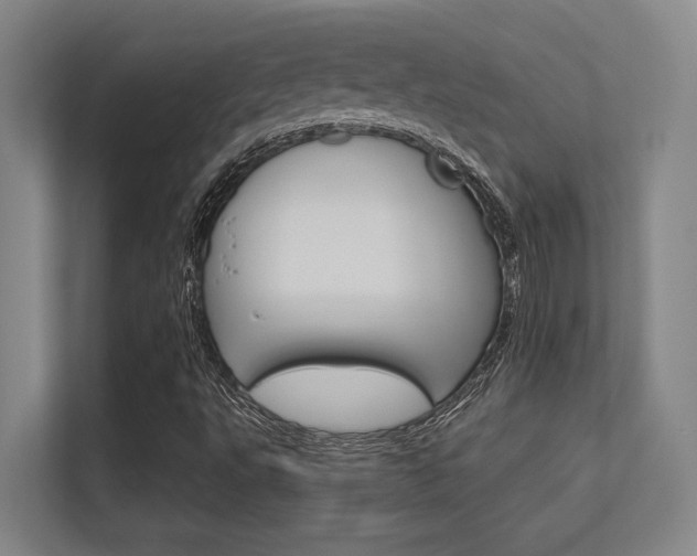 X0000112391495200908131333