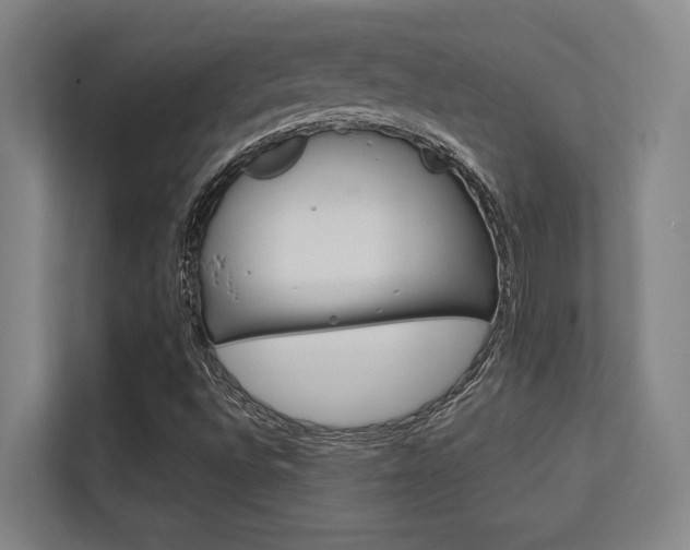 X0000112391496200908131333