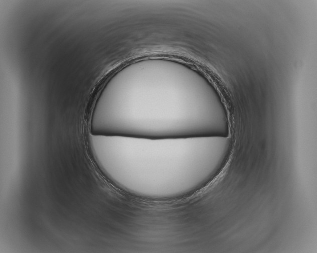 X0000112391497200908131333