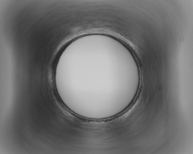X0000112391498200908131333