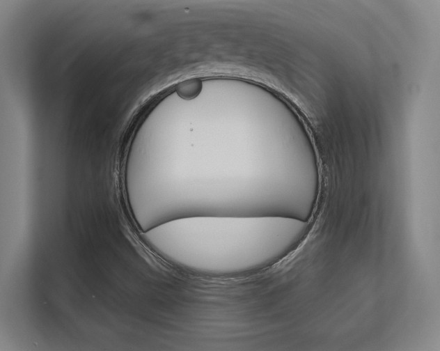 X0000112391499200908131333