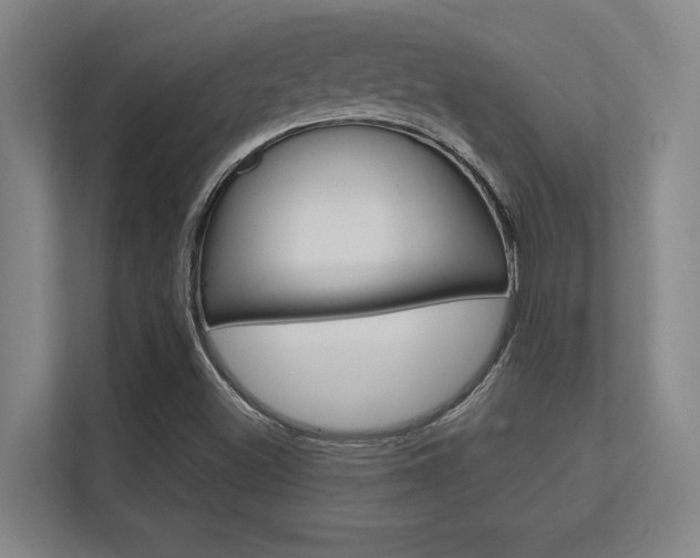 X0000112391500200908131333