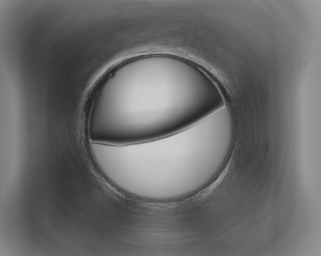 X0000112391502200908131333