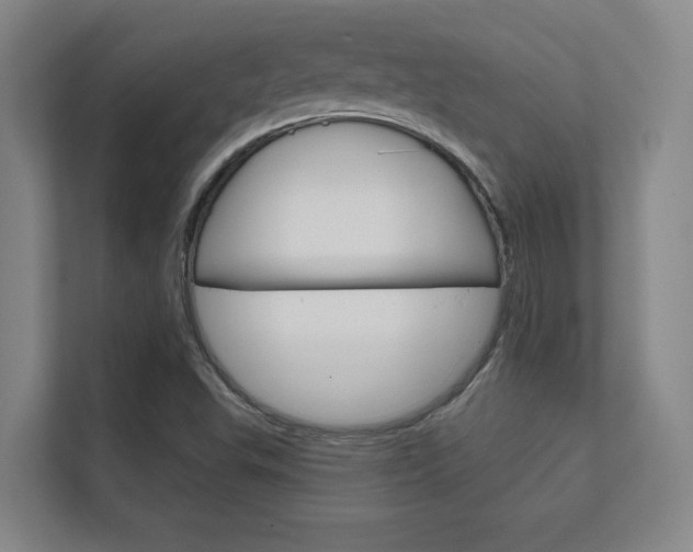 X0000112391503200908131333