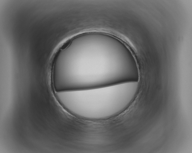 X0000112391504200908131333