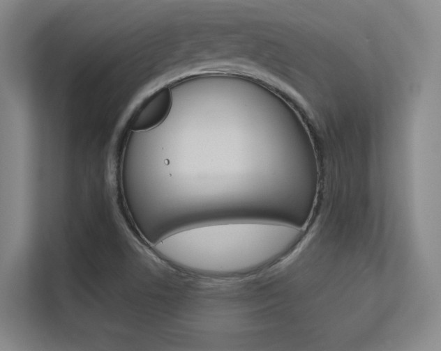 X0000112391506200908131333
