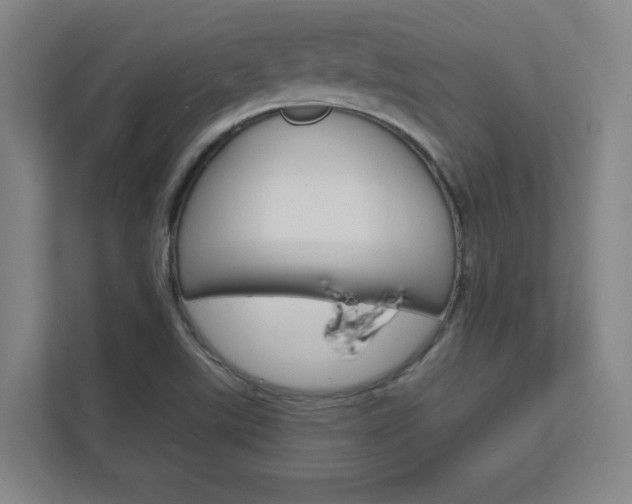 X0000112391507200908131333