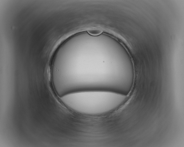 X0000112391509200908131333