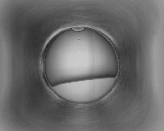 X0000112391510200908131333