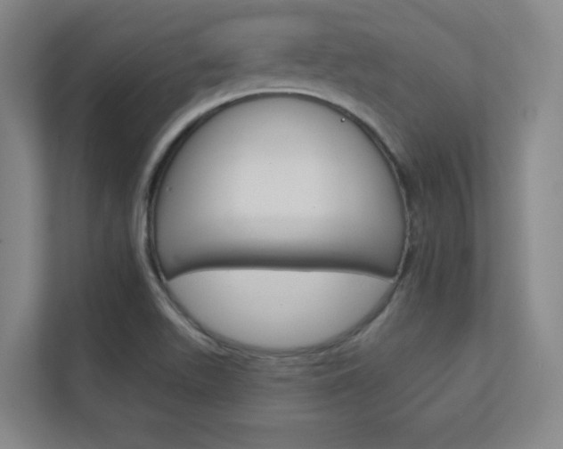 X0000112391511200908131333