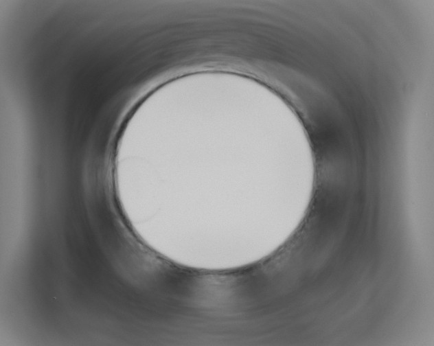 X0000112391514200908131333