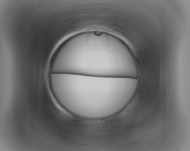X0000112391515200908131333