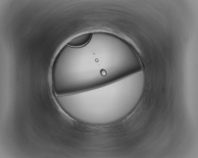 X0000112391516200908131333