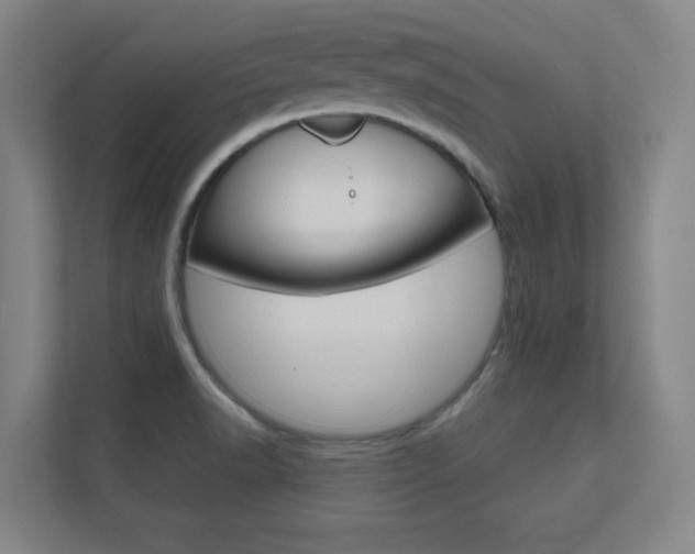 X0000112391518200908131333