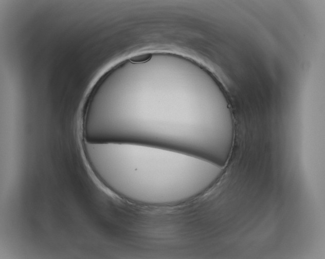 X0000112391519200908131333