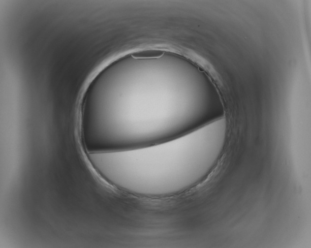 X0000112391520200908131333