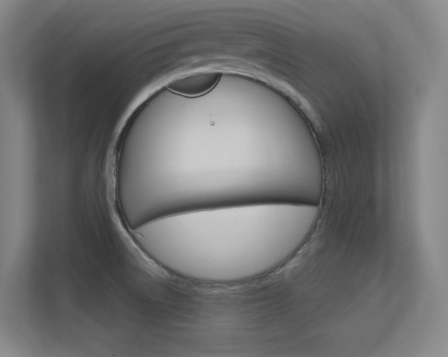 X0000112391522200908131333